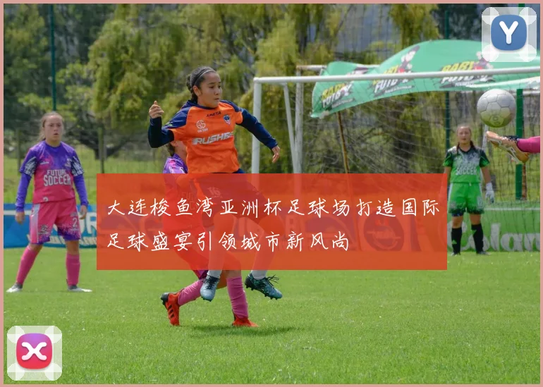 大连梭鱼湾亚洲杯足球场打造国际足球盛宴引领城市新风尚