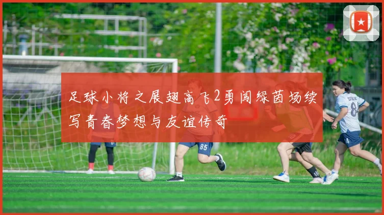 足球小将之展翅高飞2勇闯绿茵场续写青春梦想与友谊传奇