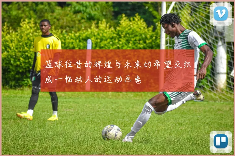 篮球往昔的辉煌与未来的希望交织成一幅动人的运动画卷