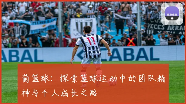 蔺篮球：探索篮球运动中的团队精神与个人成长之路